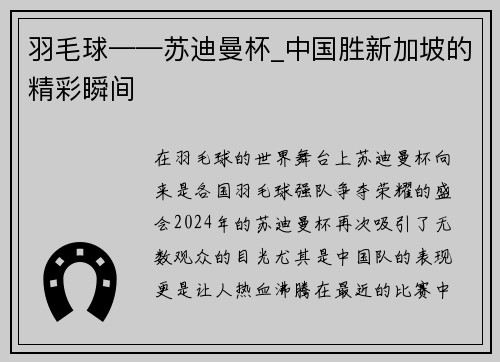 羽毛球——苏迪曼杯_中国胜新加坡的精彩瞬间