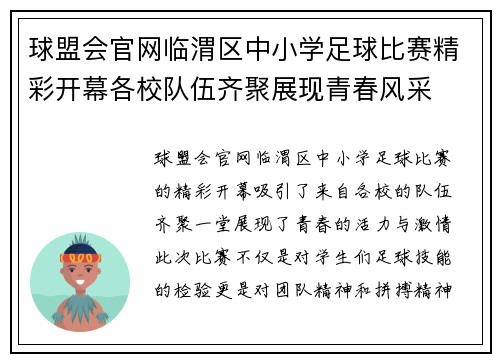 球盟会官网临渭区中小学足球比赛精彩开幕各校队伍齐聚展现青春风采