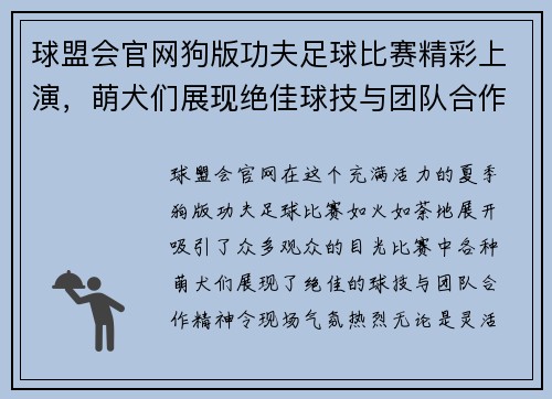 球盟会官网狗版功夫足球比赛精彩上演，萌犬们展现绝佳球技与团队合作精神