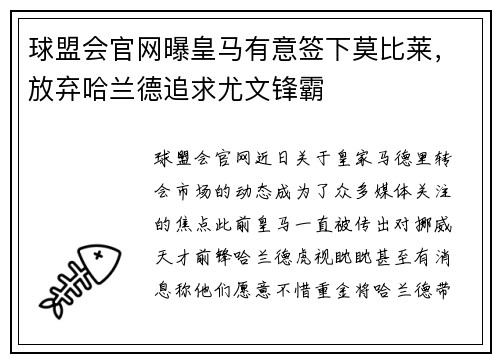 球盟会官网曝皇马有意签下莫比莱，放弃哈兰德追求尤文锋霸