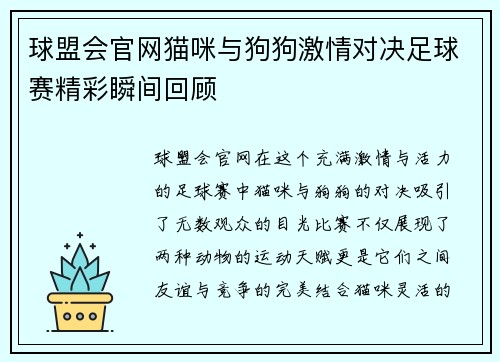 球盟会官网猫咪与狗狗激情对决足球赛精彩瞬间回顾
